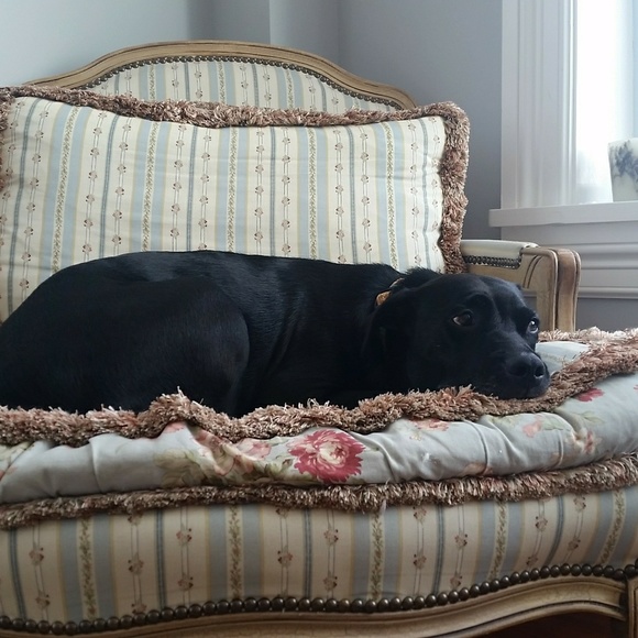 Meet your Posher, Gail - Picture 3 of 3